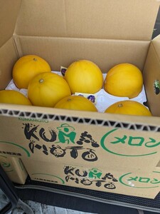  Kumamoto prefecture production [ yellow King melon ]6 sphere ~7 sphere entering 