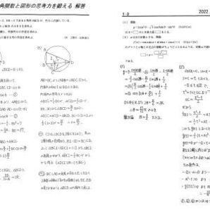 【東京出版】『大数ゼミ 特別選抜 3角関数と図形、3角関数と積分、整数問題 伊香匡史先生 オリジナルプリント』 月刊大学への数学