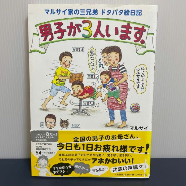 男子が3人います。 マルサイ家の三兄弟 ドタバタ絵日記