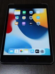 【美品】iPad mini 4 Wi-Fi+Cellular 32GB au MNWE2J/A セルラー SIMフリー