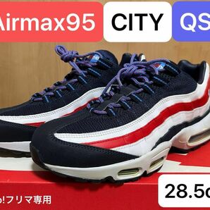 NIKE ナイキ AIRMAX95 CITY QS 28.5cm【希少サイズ】