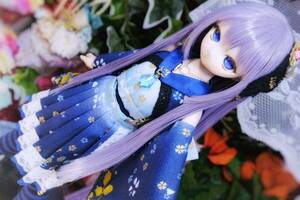 кукла костюм (DDP S.)(. Sakura no..}1/4 кукла одежда [FrozenNuts- # лед . оборудование ]