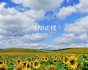 ANNE様用