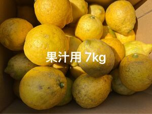 終了間際！広島県産　果汁用　レモン 約7kg