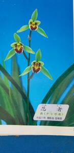 холод орхидея регистрация . товар * ninja . дерево синий коричневый bo6