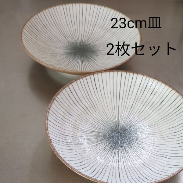 23cm 十草模様皿 2枚セット 美濃焼 日本製 磁器 電子レンジ対応 食洗機対応 パスタ カレー
