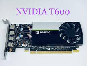 NVIDIA T600★4K 4画面出力可能★40W★ロープロファイルブラケット★