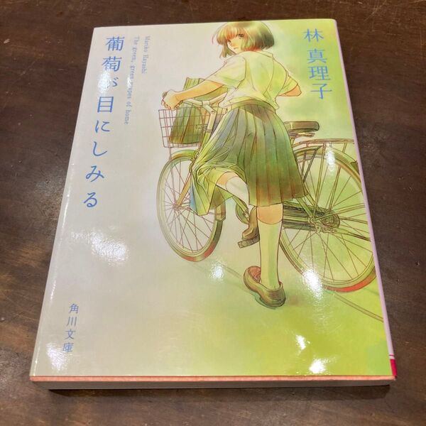 葡萄が目にしみる (角川文庫 6369) 林真理子/〔著〕