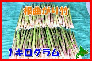  root bend bamboo Hokkaido production natural bamboo. .(1kg). bamboo. . sale beginning ~