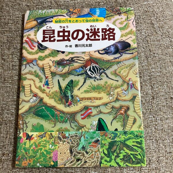 昆虫の迷路 迷路シリーズ 秘密の穴をとおって虫の世界へ 香川元太郎 絵本 知育絵本 時の迷路シリーズ