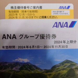 ANA 株主優待 グループ優待券 1枚 11/30まで