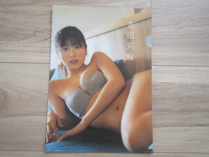 [B-01] Yoshida . Sakura B5 прозрачный файл комикс товары канцелярские товары bikini model * включение в покупку возможно 