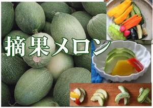 Y14.. tsukemono pickles for .. melon 5K
