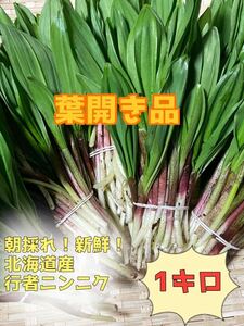  Hokkaido производство натуральный предмет line человек чеснок 1 kilo лист открытие ②