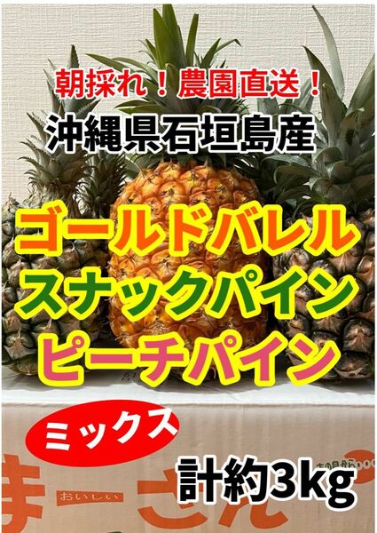沖縄県石垣島産ゴールドバレル、スナックパイン、ピーチパインミックス計約3キロ 