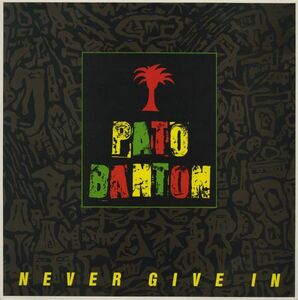 英オリジLP！Pato Banton / Never Give In 1987年 Greensleeves GREL 108 Beastie Boys サンプリングネタ収録 パト・バントン ダンスホール