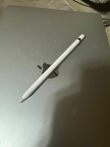 Apple Pencil ジャンク