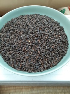 . land autumn buckwheat's seed 700g soba. kind soba soybean sprouts soba sprouts health effect own cultivation safety safety have machine fertilizer less pesticide cultivation Ibaraki prefecture production 