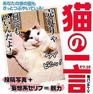 猫の一言／猫パンチＴＶ【著】