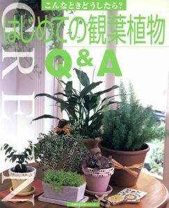 はじめての観葉植物Ｑ＆Ａ／主婦の友社(著者)