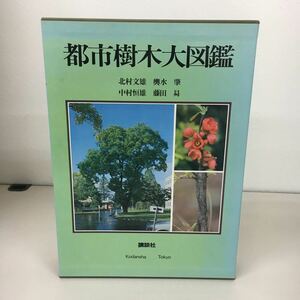  city tree large illustrated reference book .. company 