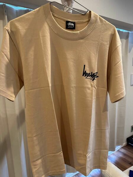 STUSSY Tシャツ　逆ロゴ