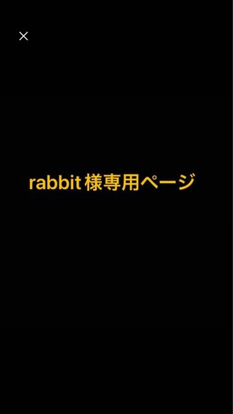 ③rabbit様　専用