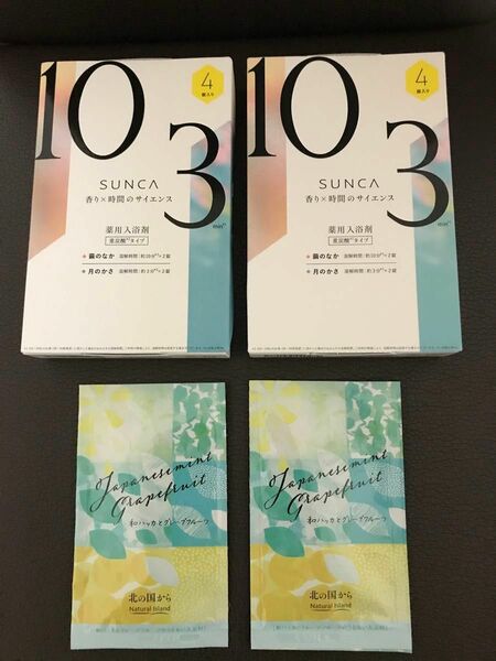 入浴剤 10個　薬用　重炭酸　メチルヘスペリジン　塩素緩和成分　アロマ　和ハッカ　繭のなか　月のかさ　北の国から