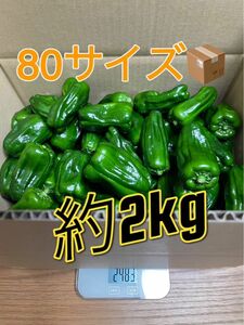 農家直送　ピーマン『さらら』　約2KG！