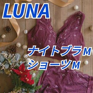 LUNA　ルーナ　ナチュラルアップナイトブラ　育乳ブラ　ショーツセット　2