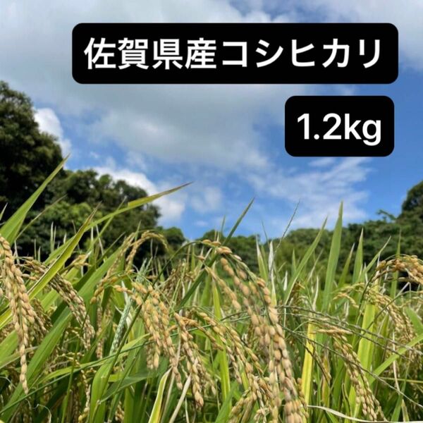 佐賀県産　コシヒカリ　1.2kg 令和5年産