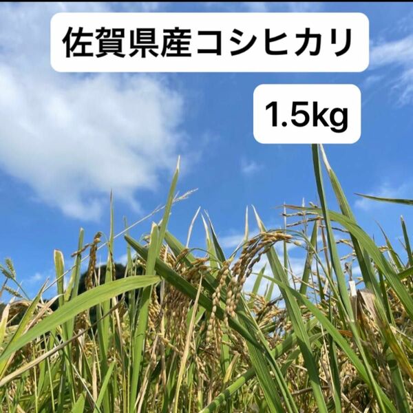 佐賀県産　コシヒカリ　1.5kg 令和5年産