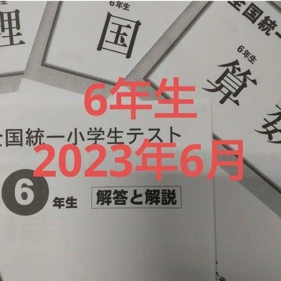 全国統一小学生テスト6年生