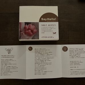 Say Hallo! あのこによろしく。 イワサキユキオ (ほぼ日ブックス)