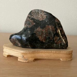 # suiseki st # appreciation stone # tray stone # natural stone # chrysanthemum stone #B-265