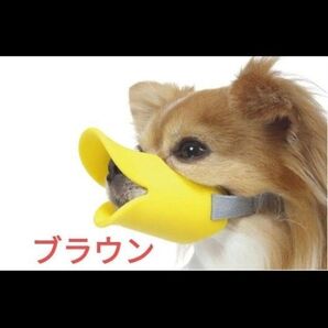 【OPPO】quack(クアック) S 拾い食い防止 噛み癖