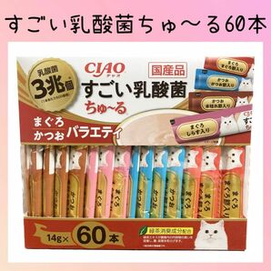 36 いなば チャオ すごい乳酸菌 ちゅーる まぐろかつおバラエティ 60本 ciaoちゅ〜る チャオちゅーる キャットフード 猫