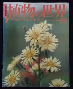 [03269]週刊 朝日百科 植物の世界 7 1994年5月29日 朝日新聞社 キク科 ガーベラ タンポポ チコリ コウヤボウキ ムティシア・デクレンス