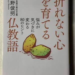 折れない心を育てる仏教語 : 悩みが気づきに変わる80のヒント 枡野俊明