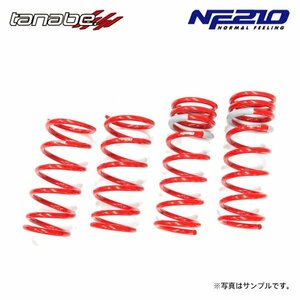 tanabe タナベ サステック NF210 ダウンサス 1台分 レクサス IS350 GSE21 H17.9～H25.8 2GR-FSE NA FR バージョンS