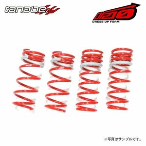 tanabe タナベ サステック DF210 ダウンサス 1台分 レクサス GS350 GRS191 H17.8～H24.1 2GR-FSE NA FR