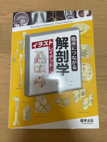 臨床につながる解剖学イラストレイテッド