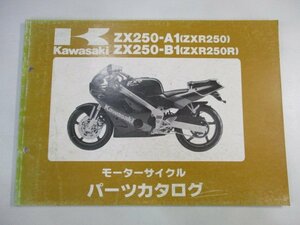ZXR250 R パーツリスト カワサキ 正規 中古 バイク 整備書 ZX250-A1 ZX250-B1 ZX250A-000 300 th 車検 パーツカタログ 整備書