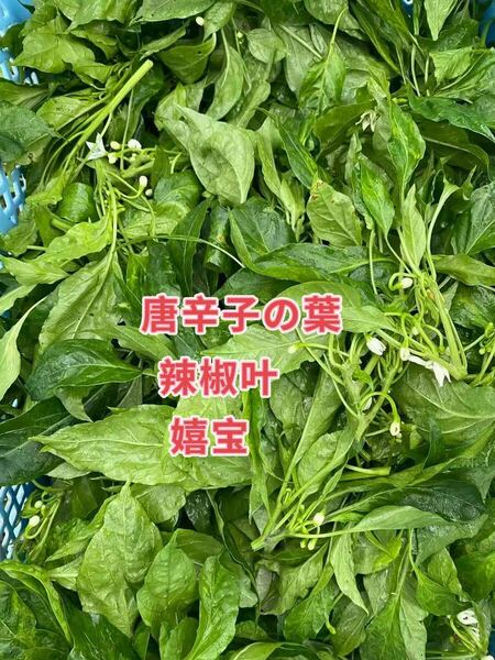 唐辛子葉200g