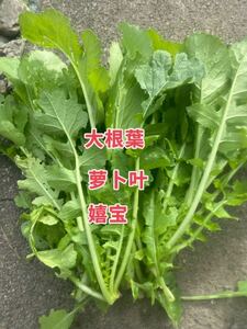  daikon radish leaf 400g