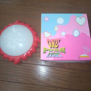 ワン プッシュ ライト 電気