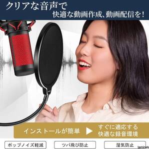 動画配信をはじめたい!ポップガード ポップブロッカー マイクフィルター Wフィルター ノイズ防止 Vtuber クリアな音で録音