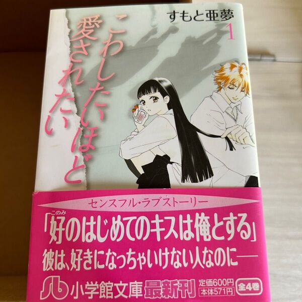 壊したいほど愛されたい 漫画 1~4巻
