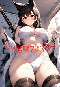 AN-2760 2G 愛宕 アズールレーン アズレン 同人 A4サイズ ポスター アニメ 高品質 anime 制服 美少女イラストアートポスター