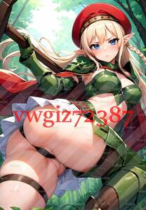 AN-2486 2G 戦闘教官アレイン クイーンズブレイド 同人 A4サイズ アニメ ポスター 高品質 anime 美少女 巨乳 イラストポスター